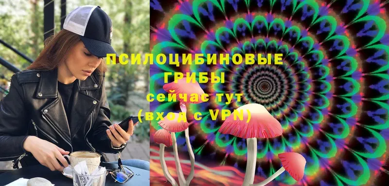 Галлюциногенные грибы Psilocybe  закладки  mega рабочий сайт  Починок 